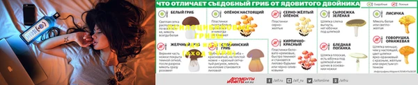 apvp Абинск