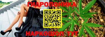 индика Бийск